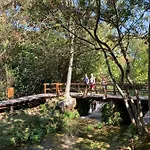 Figtree 아파트